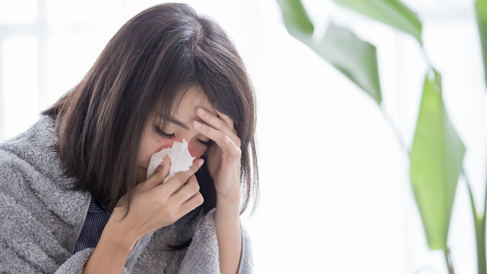 平安藥 舒緩退燒、疼痛、咳嗽、流鼻水、喉嚨痛、胃痛、肚痛、肚瀉